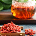 Fresh Organic goji berries wolfberries kering untuk dijual